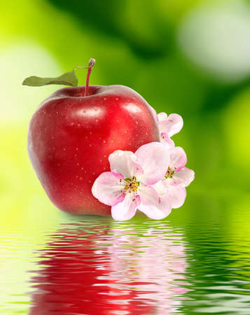 image of red apple in the water closeupの写真素材