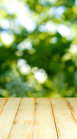 image of board on abstract green backgroundの写真素材