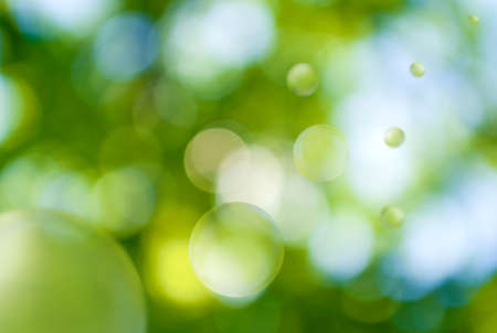 image of natural green background close-upの写真素材