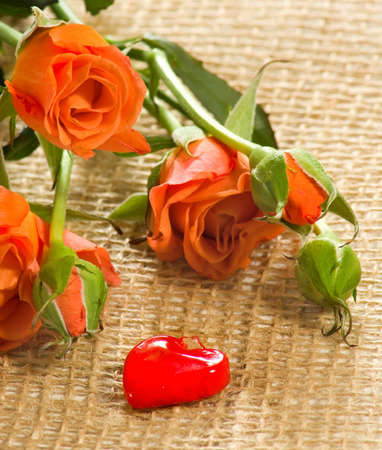image of beautiful flowers of roses closeupの写真素材