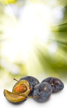Image of plum close upの写真素材