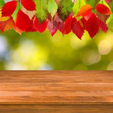 Image of wooden board on autumn leaves background closeupの写真素材