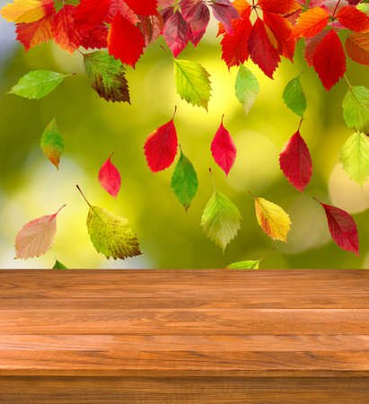 Image of wooden board on autumn leaves background closeupの写真素材