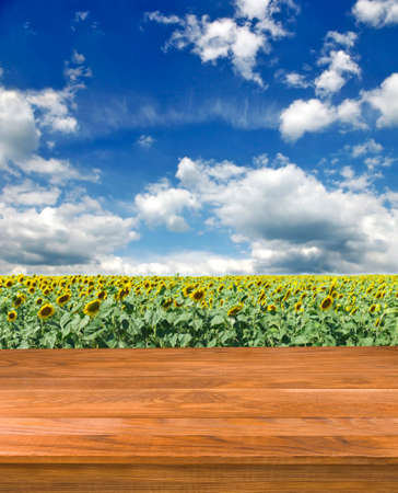 wooden board on  field with sunflowers backgroundの写真素材