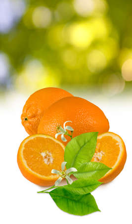 image of orange  close-upの写真素材