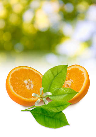 image of orange  closeupの写真素材