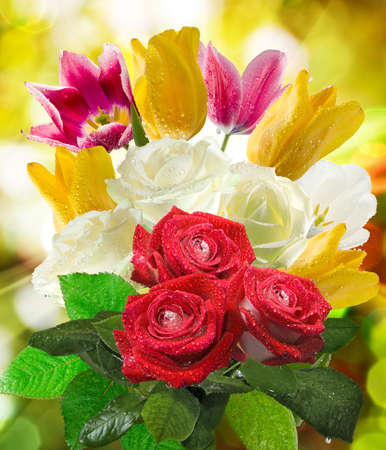 image of flower in the garden closeupの写真素材