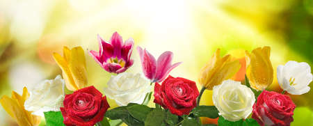 image of flower in the garden closeupの写真素材