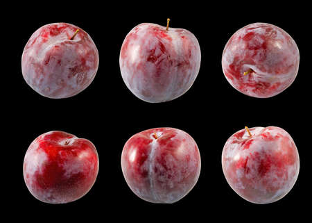 Isolated image of a plum close upの写真素材