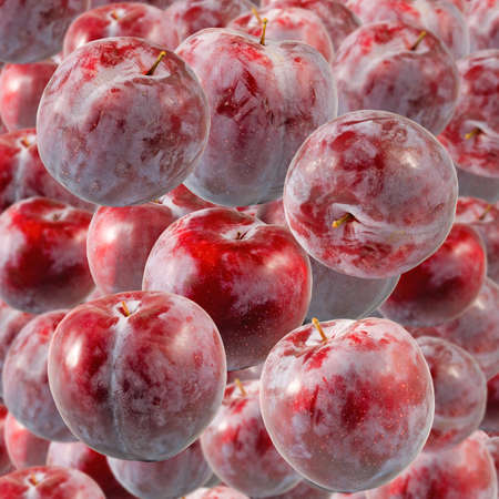 image of a plum closeupの写真素材