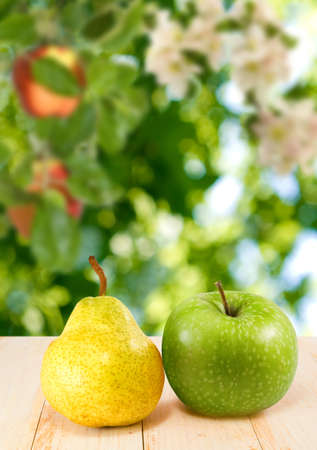 Image of pear and apple close-upの写真素材