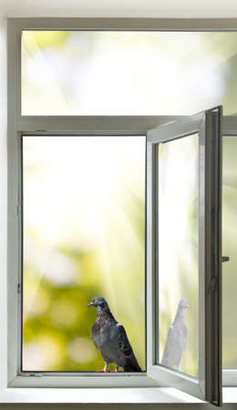 image of open window closeupの写真素材