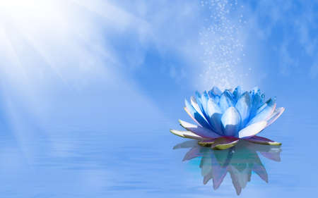 image of lotus flower on the waterの写真素材