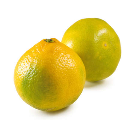 isolated image of orange closeupの写真素材
