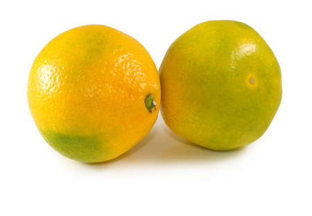 isolated image of orange closeupの写真素材