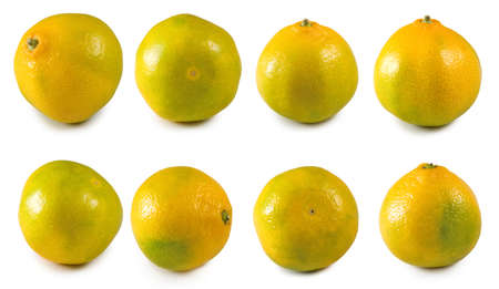 isolated image of orange closeupの写真素材