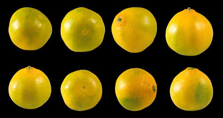 isolated image of orange closeupの写真素材