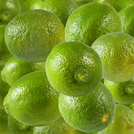 isolated image of lemons closeupの写真素材
