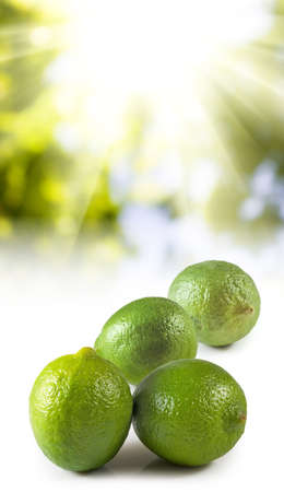 image of lemon on sun background closeupの写真素材