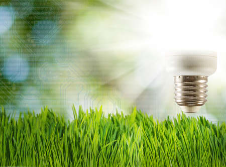 light bulb on green background closeupの写真素材