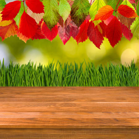 Image of wooden board on autumn leaves backgroundの写真素材