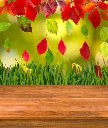 Image of wooden board on autumn leaves backgroundの写真素材