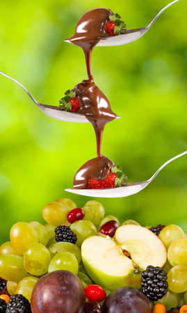 image of a chocolate and strawberry on a spoon on fruit backgroundの写真素材