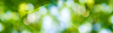 abstract natural background closeupの写真素材