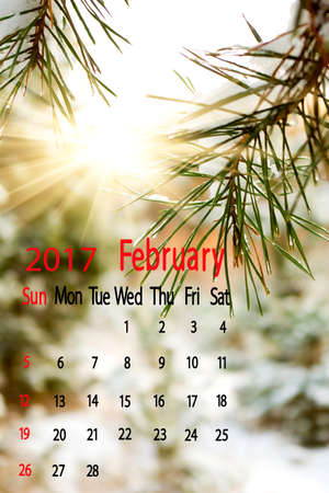 winter snow-covered forest. Calendar for February 2017.の写真素材