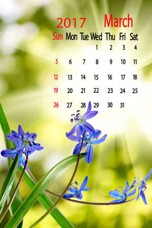 image of beautiful flowers in the garden close-up. Calendar for March 2016.
Spring month of March and beautiful flowers
snowdrops on sun backgroundの写真素材