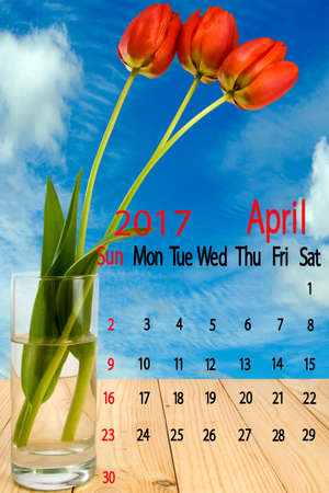 image of beautiful flowers tulips against the sky close-up.
? Calendar for March 2016.
Beautiful flowers in a vase.
Red tulips flowers on wooden board on beautiful sky and clouds
background.の写真素材