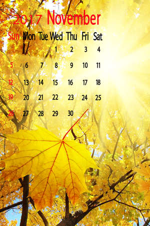 2017 Calendar.November. Image of falling leaves
Beautiful autumn forest on sun rays backgroundの写真素材