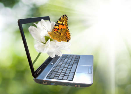 Laptop image on a green background.
Laptop, flower and butterfly on green blurred background.
The laptop represents a business theme.の写真素材