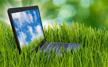 Image of laptop in the grass.
The laptop represents a business theme.
laptop in the grass in the summer garden.
Sky and clouds on the laptop screen.の写真素材
