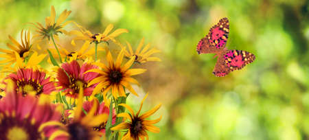 Beautiful flowers on a green background.
Many beautiful flowers roses and a butterfly in the garden.
Beautiful flowers of roses and butterfly on a blurred green background.の写真素材