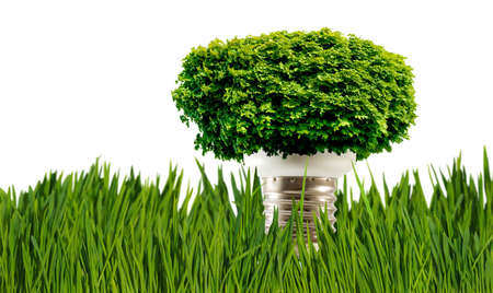 Stylized image of the lamp and the crown of the tree, Isolated image of crown of the tree on the lamp.の写真素材