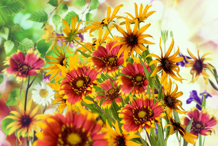 Image of flowers in the garden on a blurred background.
Beautiful flowers in the garden.の写真素材