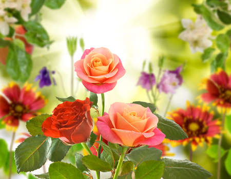 Beautiful flowers on a green background closeupの写真素材