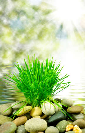 Image of rocks and grass on a water backgroundの写真素材