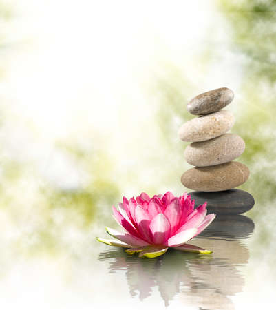 Image of stones and lotus flower on the water.の写真素材