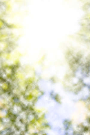 bright sun on natural green background close-upの写真素材