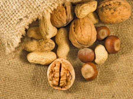Big walnuts in a sack close-up.
Ripe nuts on a table.
Beneficial for health nuts, peanuts and walnutsの写真素材
