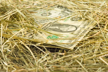 Image of dollars money on hay closeup
Many dollars on the dry grassの写真素材