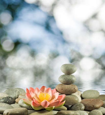 Image of stones and lotus flower on the water close-up,Beautiful lotus flower and stones in the water.の写真素材