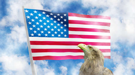 image of America flag on blue background. 3d illustration,Eagle on American flag background,