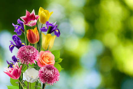 Beautiful bouquet of different flowers on a blurred background,
Festive flowers in the garden close-up.の写真素材