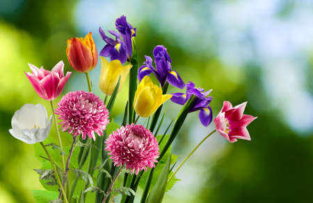 Beautiful bouquet of different flowers on a blurred background,
Festive flowers in the garden close-up.の写真素材