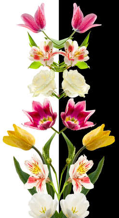 isolated image of beautiful flowers on green background.
Beautiful bouquet of flowers close up.の写真素材