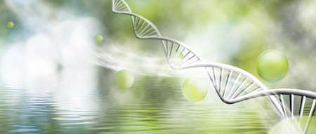 Image of molecular structure and chain of dna on a green background closeupの写真素材