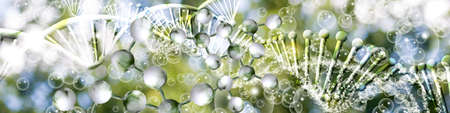 Image of molecular structure and chain of dna on blue background close up,3d illustration